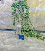 تصویر فیلتر ماشین ظرفشویی و لباسشویی 