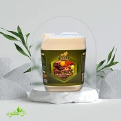 تصویر کود آهن شوک ۲۰ لیتری آمریکایی نانو مایع 