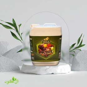 تصویر کود آهن شوک ۲۰ لیتری آمریکایی نانو مایع 