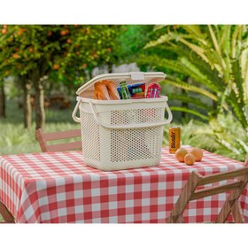 تصویر سبد پیک نیک حصیری دربدار 