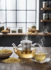 تصویر بابونه شیرازی 