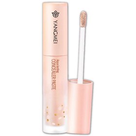 تصویر کانسیلر فول کاور یانگمی yangmei concealer 