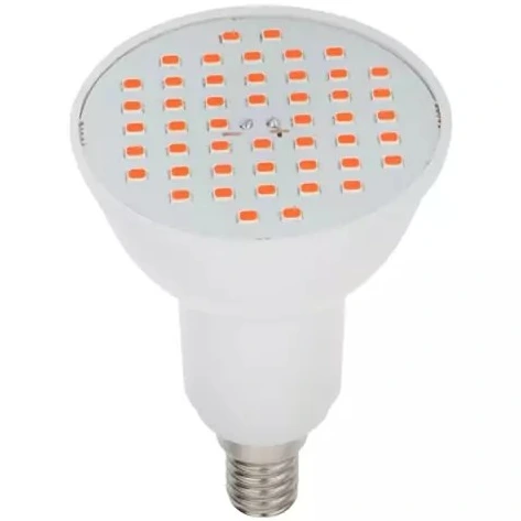 خرید و قیمت لامپ هالوژن پرنور رهنما،6 وات ،LEDSMD،پایه E14 | ترب