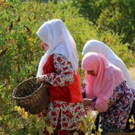 تصویر سماق صد در صد خالص محلی 150 گرمی 