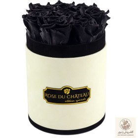 تصویر Black Eternal Roses in Small Flocked Coco Box | کد: ZNB-1IZD 