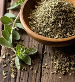 تصویر آویشن شیرازی 