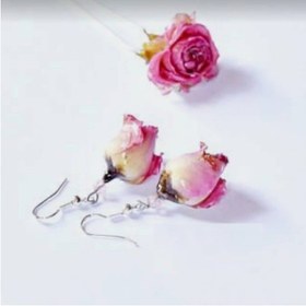 تصویر گل خشک غنچه لب ماتیکی(۲۰ عددی) - 