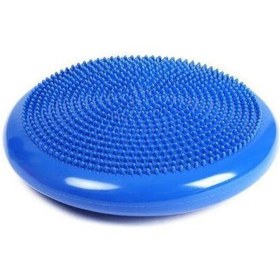 تصویر دیسک تعادلی کوشن بال Balance  Cushion
