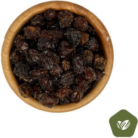 تصویر آلو جنگلی 