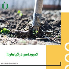 تصویر کود آهن پودری FERTILIZER کلات 6% چین 