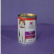 تصویر کنسرو گربه دکتر هیلز طعم گوشت و سبزیجات Dr. Hill Adult Cat 