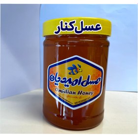 تصویر عسل کنار•عسل کنار با طبع گرم 1_با گرمای کمتر نسبت به آویشن ارزش غذایی بیشتری داره 2_ تقویت حافظه 3_جبران کمبود ویتامین ث در بدن 4_تحریک اشتهای فرد بیمار 5_بهبود زخم های سطحی 6_درمان کم خونی 7_درمان مشکلات کبدی 8_عفونت ‌های تنفسی 9_بیماری‌ های ناشی از سوء تغذیه 