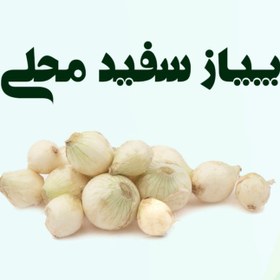 تصویر پیاز سفید محلی 