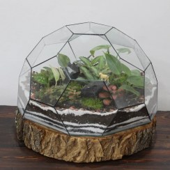 تصویر تراریوم طرح توپی ساخت و ارسال این کار 10 روز زمان میبره