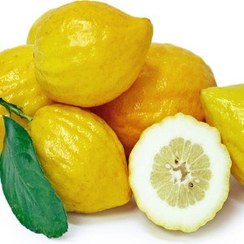 تصویر بالنگ(اترج) کد 87 