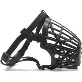 تصویر ست 4 عددی پوزه بند سگ 