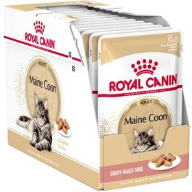 تصویر تغذیه نژاد گربه فیلین ماین (غذای مرطوب) برند royal canin Feline Breed Nutrition Maine (WET FOOD )