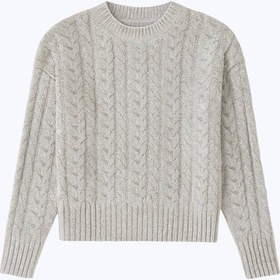 تصویر پلیور (۴۴۰۳۷۸۶) 