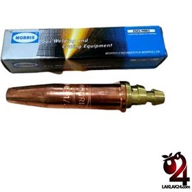 تصویر نازل 1/32 رابین 