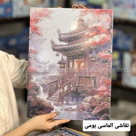 تصویر نقاشی الماسی طرح گربه سایز ۴۰ در ۳۰ 