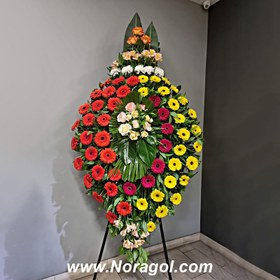 تصویر تاج گل رویا 