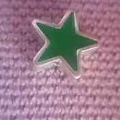 تصویر خرج کار نقره 925 طرح ستاره میناکاری 9 قیراط 