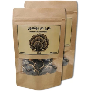 تصویر فروشگاه قارچ سرای ایران