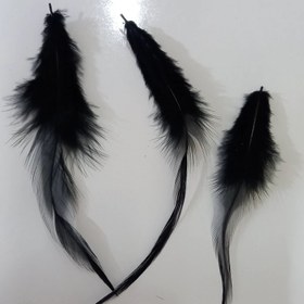 تصویر پر خروس(فروش بصورت دونه ای) 