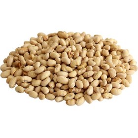 تصویر سویا آجیلی - 250 گرم 