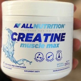 تصویر کراتین مونوهیدرات آل نوتریشن بدون طعم Creatine ALLNUTRITION