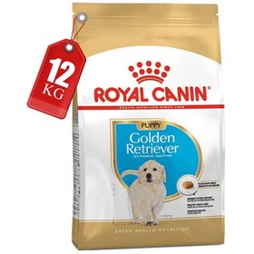 تصویر غذای خشک سگ رویال کنین مدل Golden Retriver Puppy وزن 12 کیلوگرم ا Royal Canin Golden Retriever Puppy Royal Canin Golden Retriever Puppy