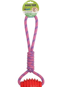 تصویر دندانی کششی سگ 