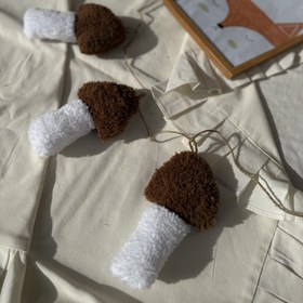 تصویر ریسه قارچ تدی 