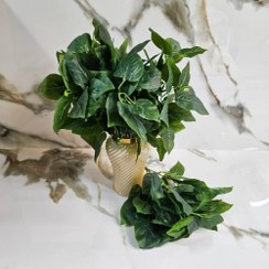 تصویر بوته پتوس سبز مصنوعی 