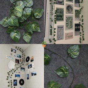 تصویر ریسه برگ 