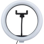 تصویر رینگ لایت مدل ZMX-260 به همراه سه پایه ZMX-260 Ring Light