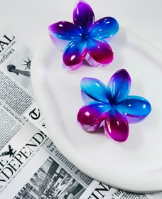 تصویر کلیپس پلومریابراق رنگین کمونی 