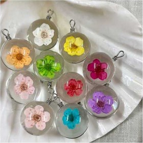 تصویر گل خشک اسپیره (بسته 10 عددی) 