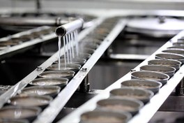 تصویر خط تولید کنسرو تن ماهی خط تولید تن ماهی