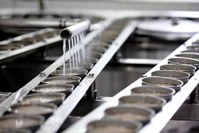 تصویر خط تولید کنسرو تن ماهی خط تولید تن ماهی