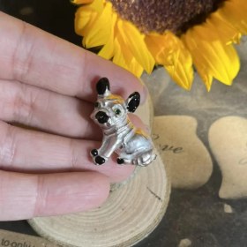 تصویر کد A-231 | گل سینه سگ نقره ای 