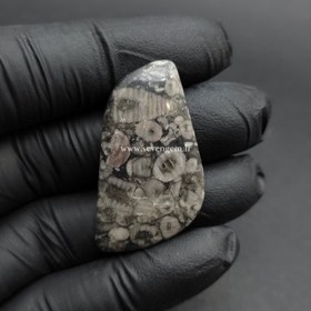 تصویر نگین فسیل کرینوئید (کدA680) 