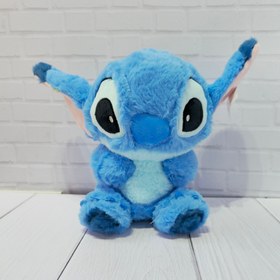 تصویر استیج پولیشی 