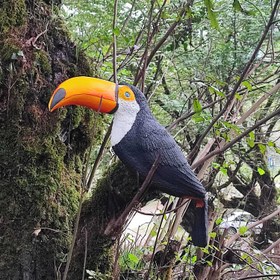 تصویر ماکت توکان Toucan replica