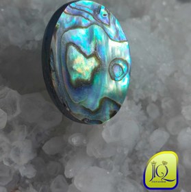 تصویر نگین صدف آبالون 