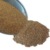 تصویر بذر منداب - 500گرم 