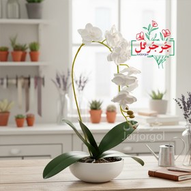 تصویر شاخه ارکیده فومی 