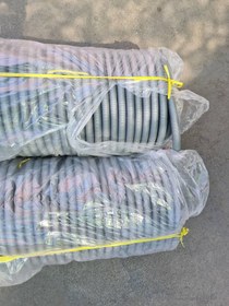 تصویر خرطومی 16 نقره ای 