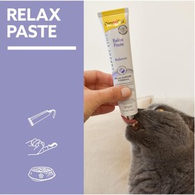 تصویر خمیر آرامبخش گربه جیم کت Gimcat Relax Paste