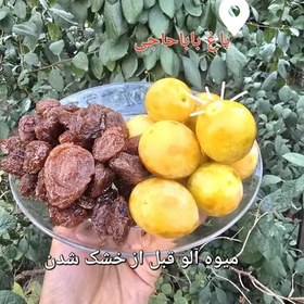 تصویر آلو بخارا آفتابی و محلی ملایر یک کیلویی 